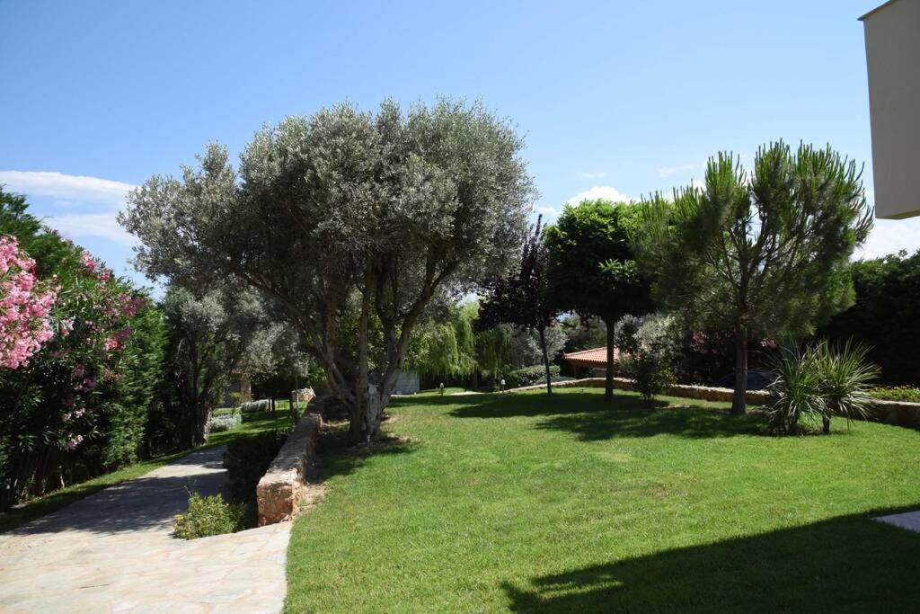 Seaside Villa Andronikos Amarynthos Bagian luar foto
