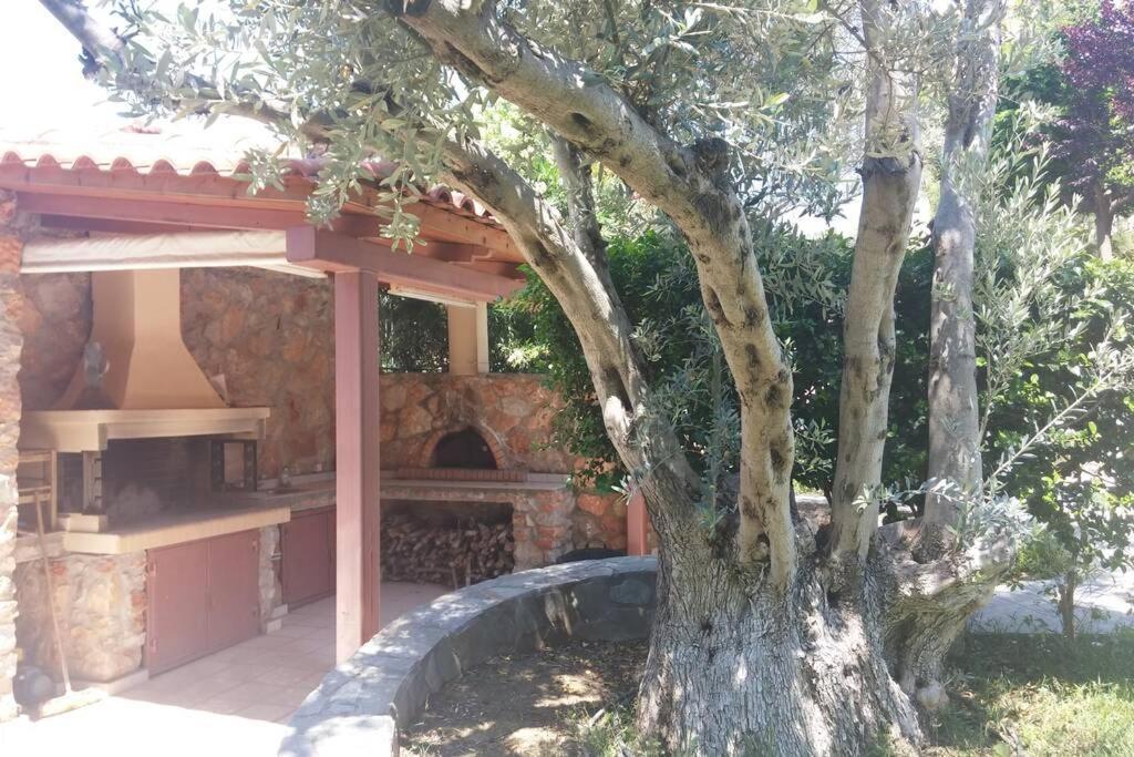 Seaside Villa Andronikos Amarynthos Bagian luar foto