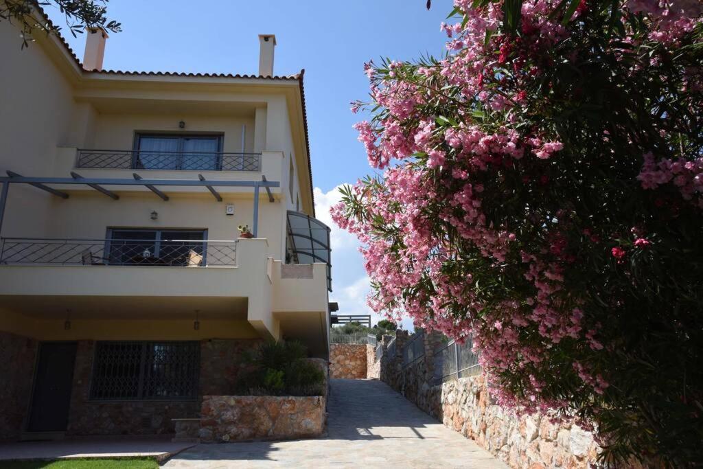 Seaside Villa Andronikos Amarynthos Bagian luar foto