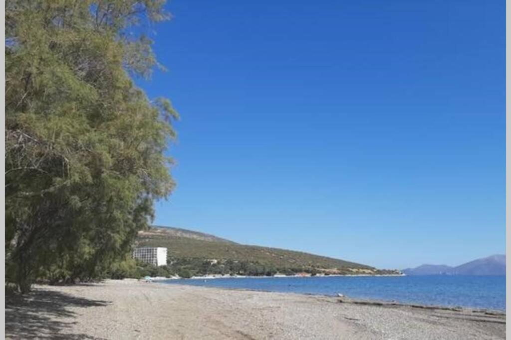 Seaside Villa Andronikos Amarynthos Bagian luar foto
