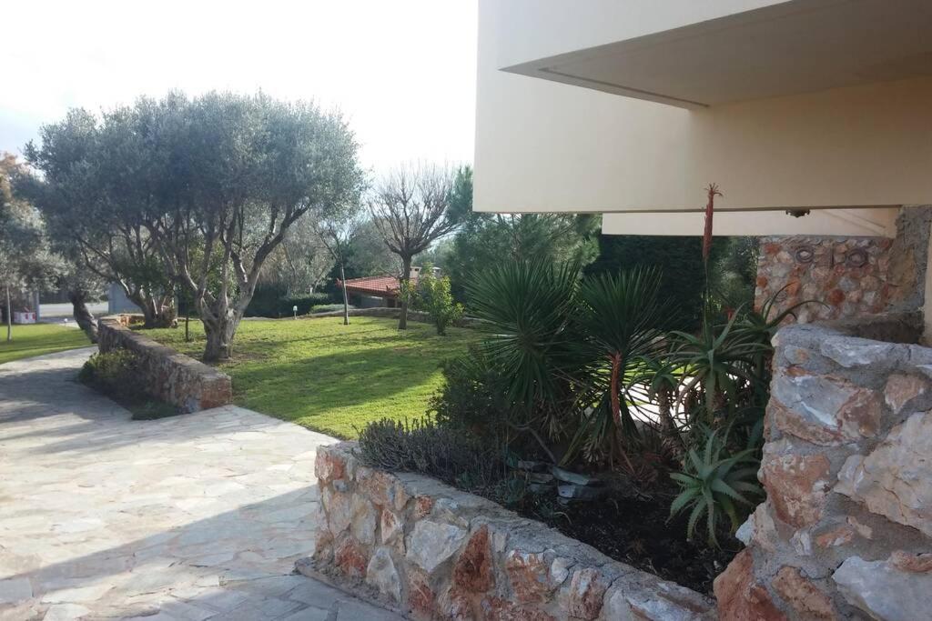 Seaside Villa Andronikos Amarynthos Bagian luar foto
