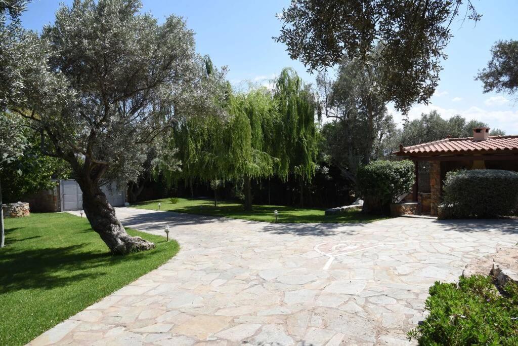 Seaside Villa Andronikos Amarynthos Bagian luar foto