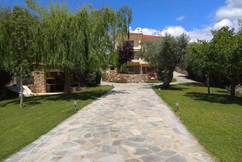 Seaside Villa Andronikos Amarynthos Bagian luar foto