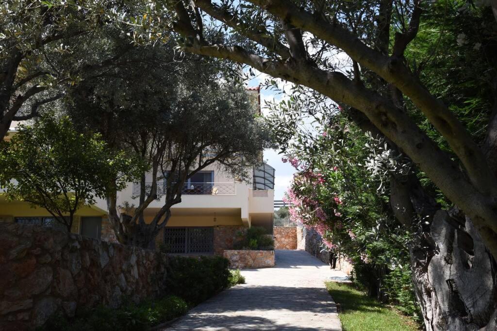 Seaside Villa Andronikos Amarynthos Bagian luar foto