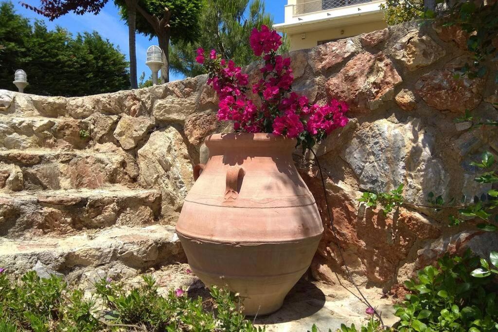 Seaside Villa Andronikos Amarynthos Bagian luar foto