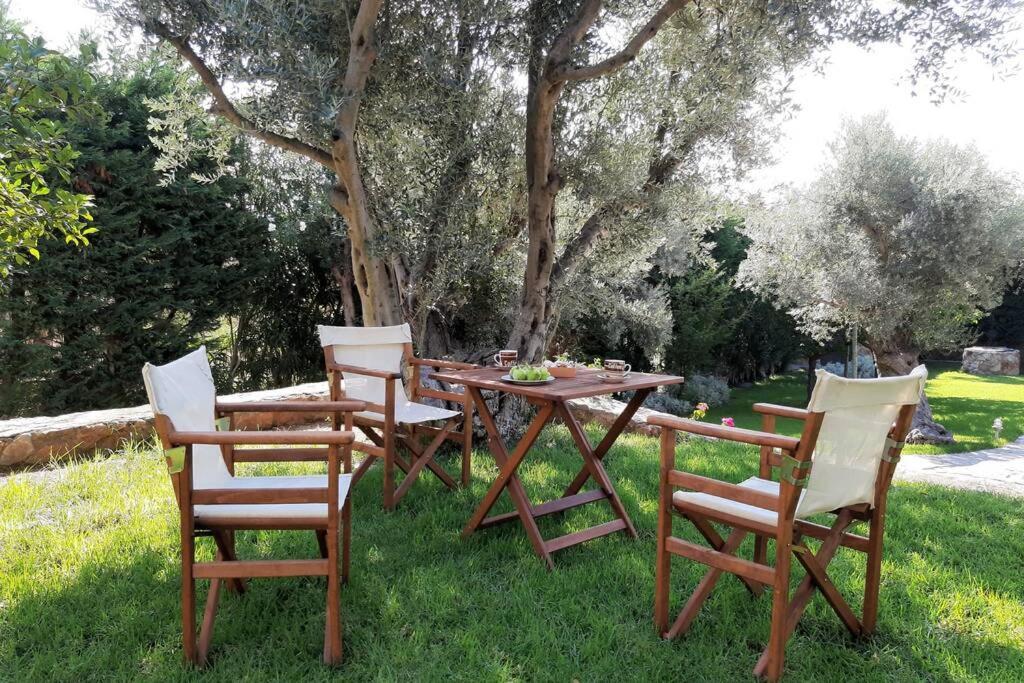 Seaside Villa Andronikos Amarynthos Bagian luar foto