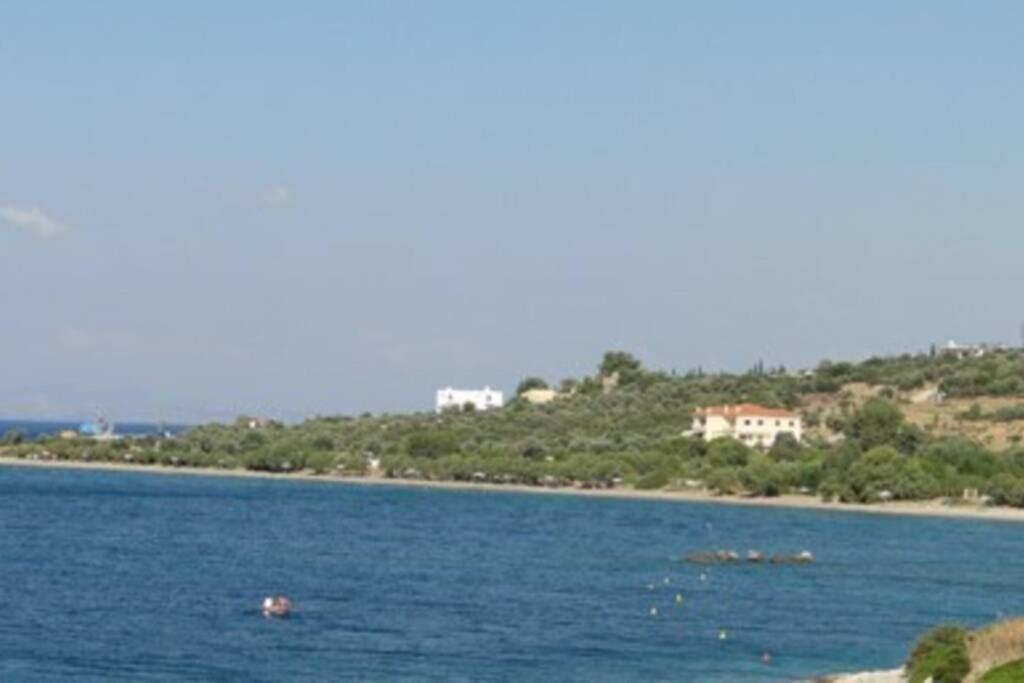 Seaside Villa Andronikos Amarynthos Bagian luar foto