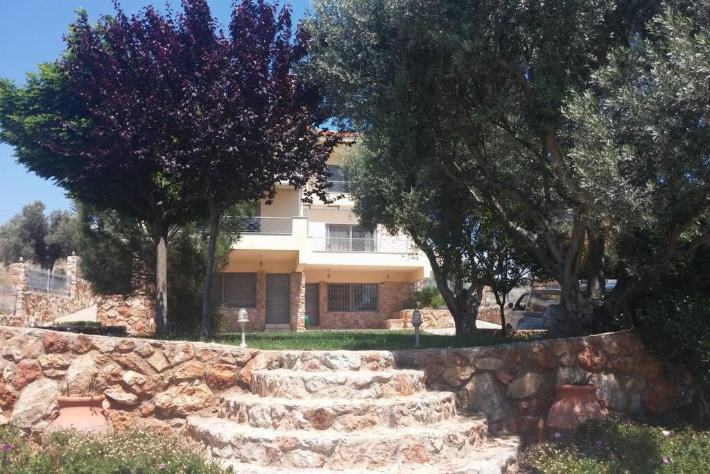 Seaside Villa Andronikos Amarynthos Bagian luar foto