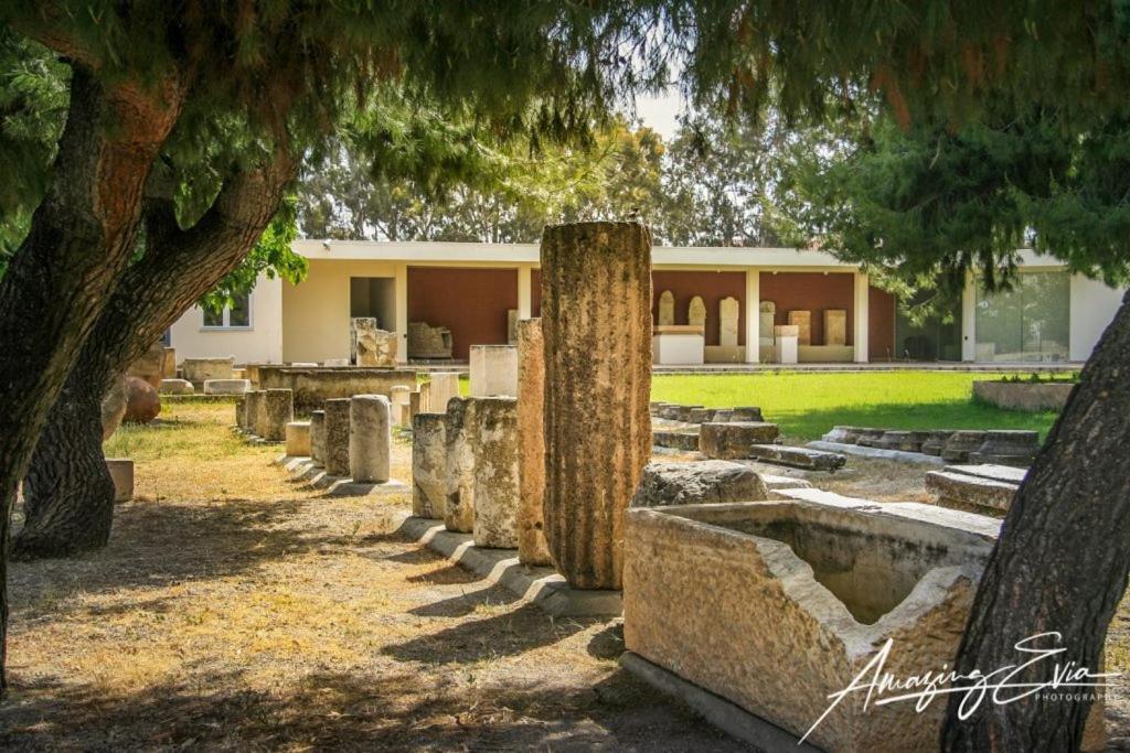 Seaside Villa Andronikos Amarynthos Bagian luar foto