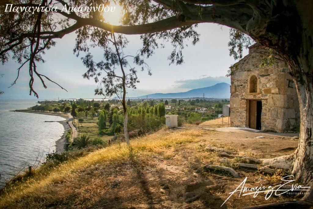 Seaside Villa Andronikos Amarynthos Bagian luar foto